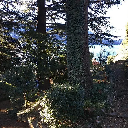 Velia Villa Lierna